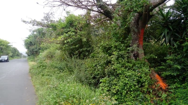 Venta terreno Km. 46.5 Villa Canales