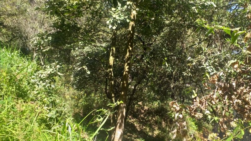 Vendo Terreno, Zona 1 Mixco.