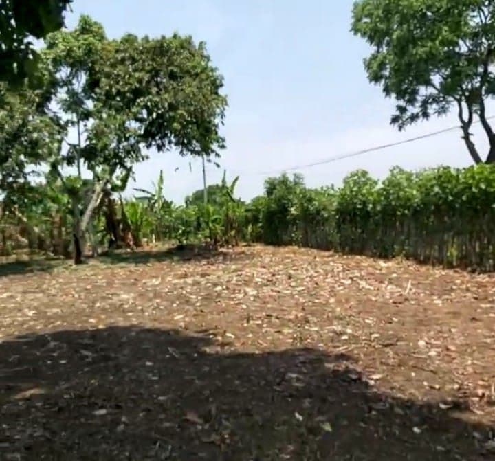 VENDO Terreno en Santo Domingo Suchitepéquez Q180,000 + Impuestos