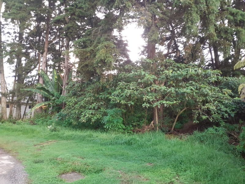 LINDO TERRENO KM 16 CARRETERA SALVADOR EN VENTA