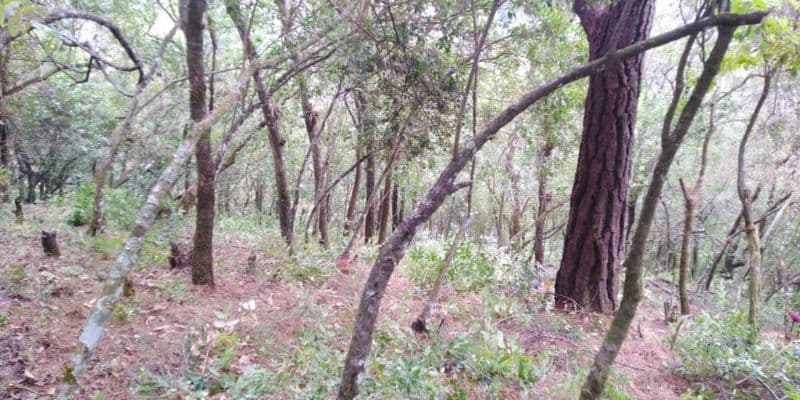 Venta Terreno El Encinal Mixco - Tronco 7 