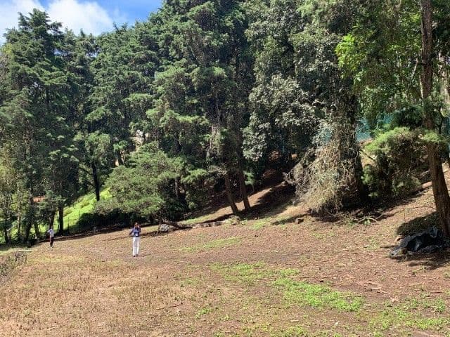 Terreno para desarrollo, Jacarandas de Muxbal