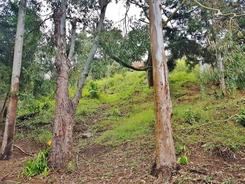 TERRENO EN VENTA EN SANTA ROSALIA LA LAGUNA 017TVSTD