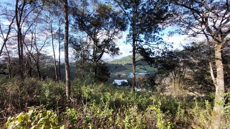 Terreno en Venta en El Pulté Golf