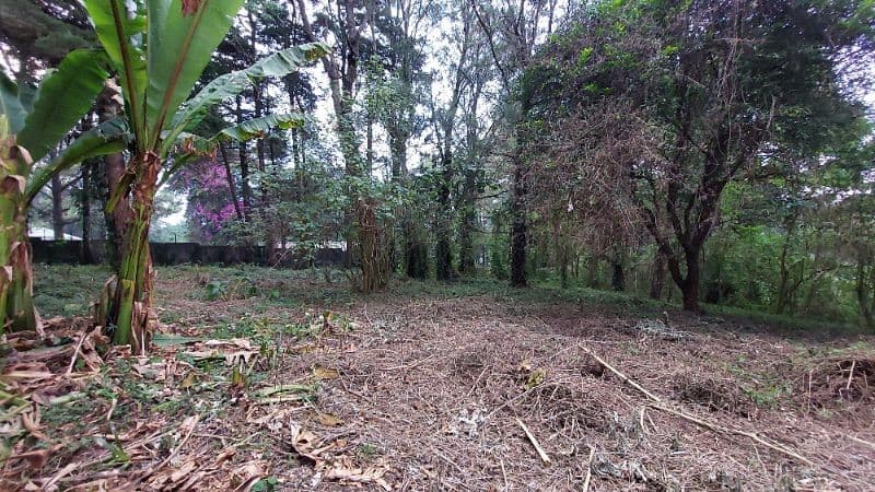 Terreno en Renta en Carretera a El Salvador km 19 - Villas del Pinar Fraijanes