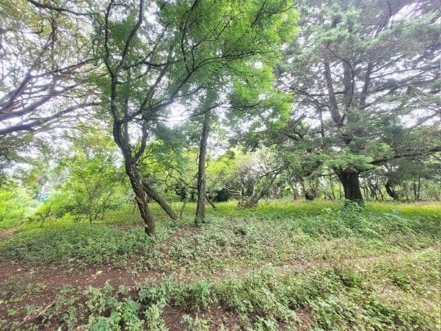 Venta Terreno km. 28 Carretera a El Salvador