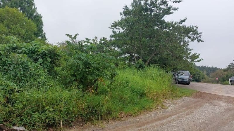 Vendo Terreno en Sausalito