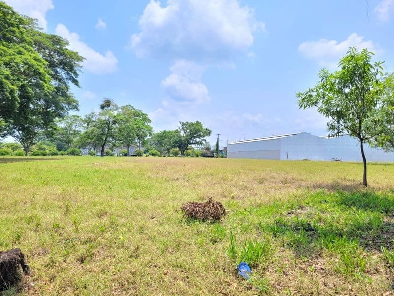 Terreno Industrial para Bodega Km 67.5 a Taxisco