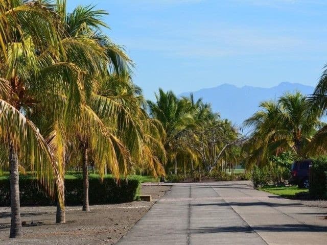 Lote en Palmeras de Monterrico