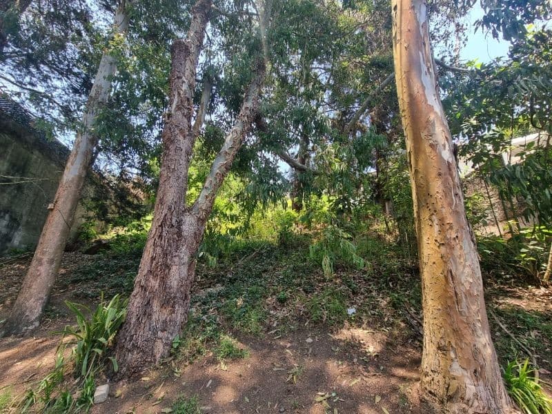 TERRENO EN VENTA SANTA ROSALIA KM 12 CES