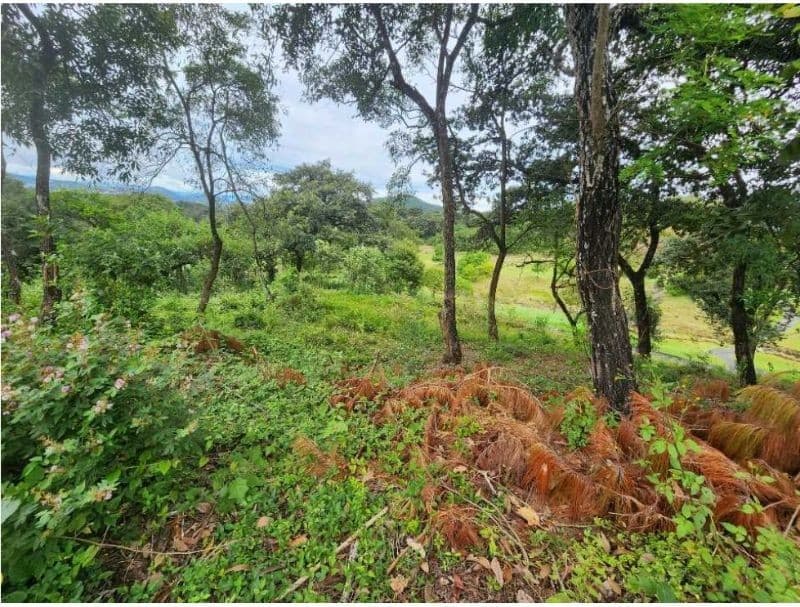 Terreno en venta EL PULTÉ GOLF Zona 16 (D)
