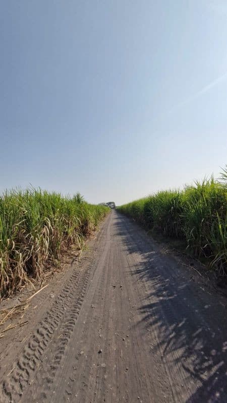 Vendo terreno en antigua carretera Puerto de San José a orilla de carretera