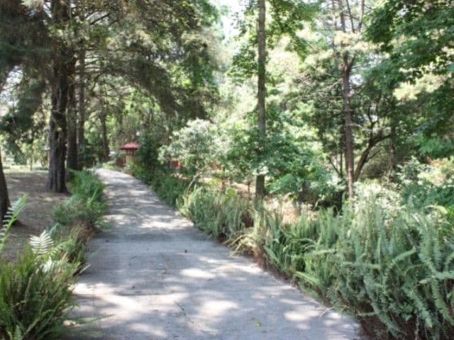 Terreno en Cristo Rey (Ideal para desarrollo)