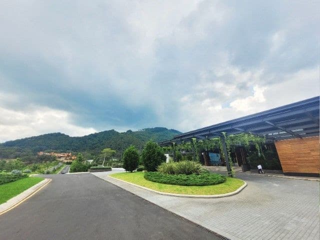 Club el Pulté Golf, zona 16