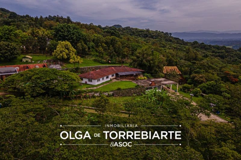 Finca en Pueblo Nuevo Viñas 