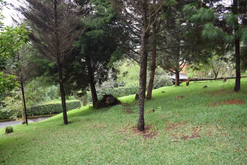 TERRENO EN VENTA EN SANTA ROSALIA LA LAGUNA 074TVSTD