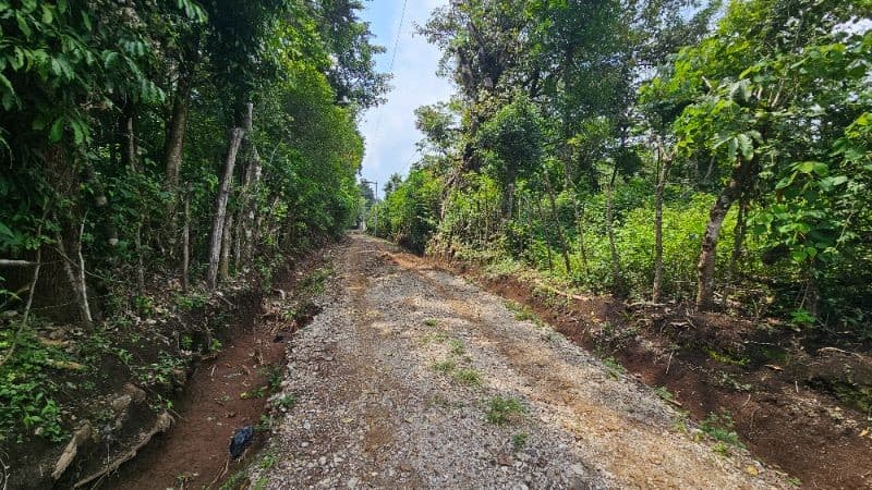 TERRENO DE 2 MANZANAS EN VENTA SANTA ELENA BARILLAS