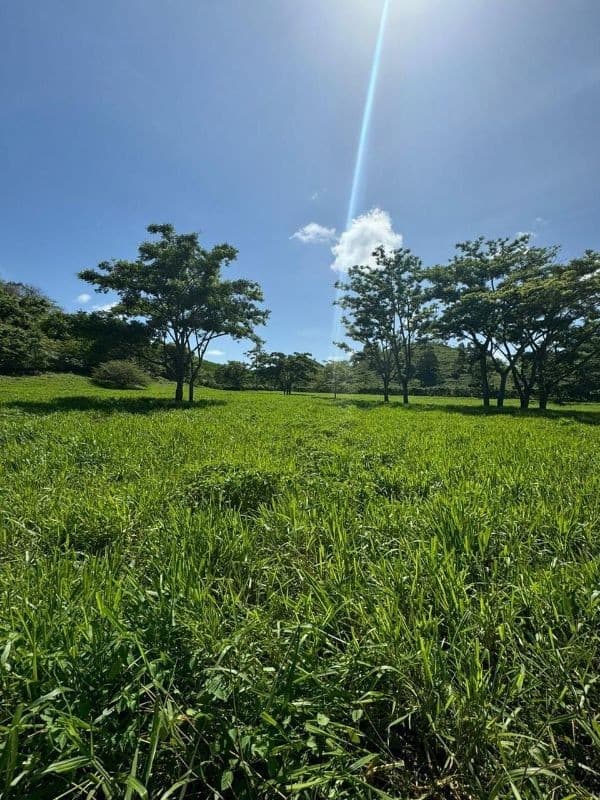 Se vende Finca en La Libertad -  Petén - Guatemala