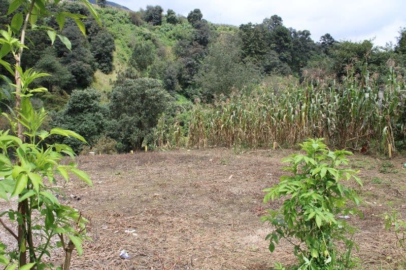 Cuerda y media de terreno en venta La Esperanza Quetzaltenango