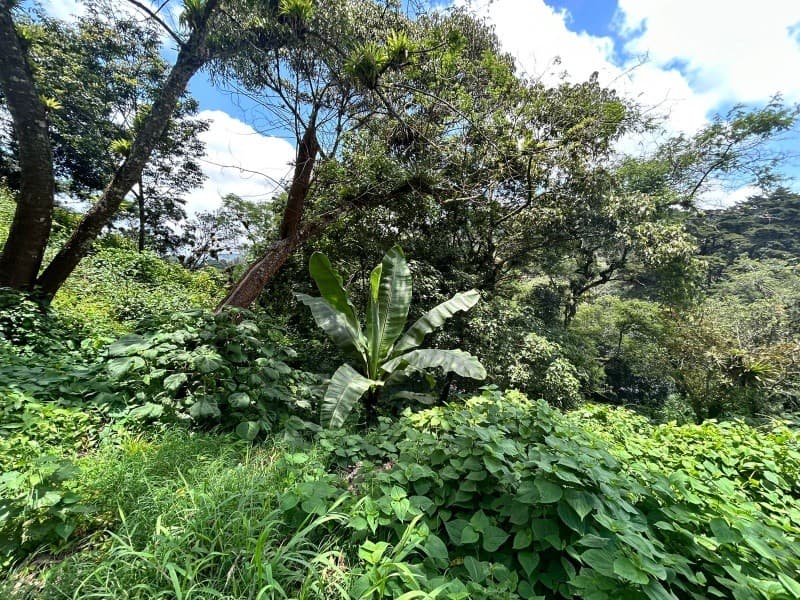Terreno en Venta Vistalvalle km 9 CES