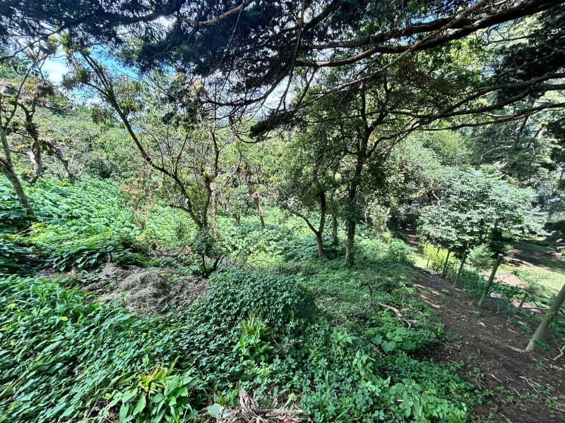 Terreno en venta Vistalvalle km 9 CAES