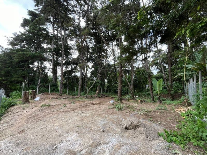 TERRENO EN VENTA EN SANTA ROSALIA LA LAGUNA