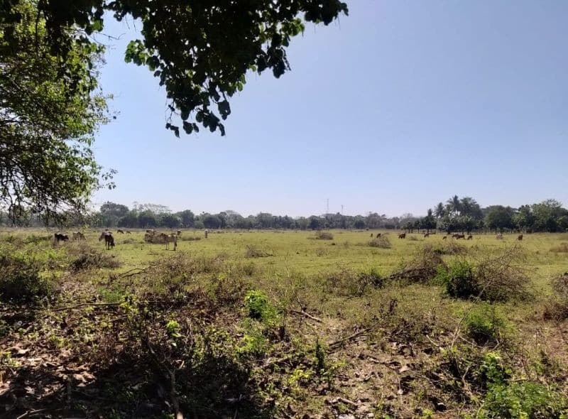 TERRENO EN VENTA EN ESCUINTLA 001TVESD