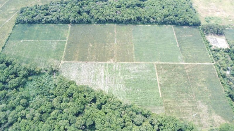 Citymax-Advance Vende Terreno/Finca de 170,000v² Plano a dos minutos de Carretera a El Salvador**