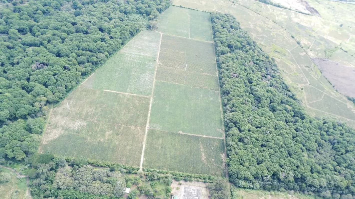 VENDO FINCA DE 17 MANZANAS PLANAS EN EL JOCOTILLO