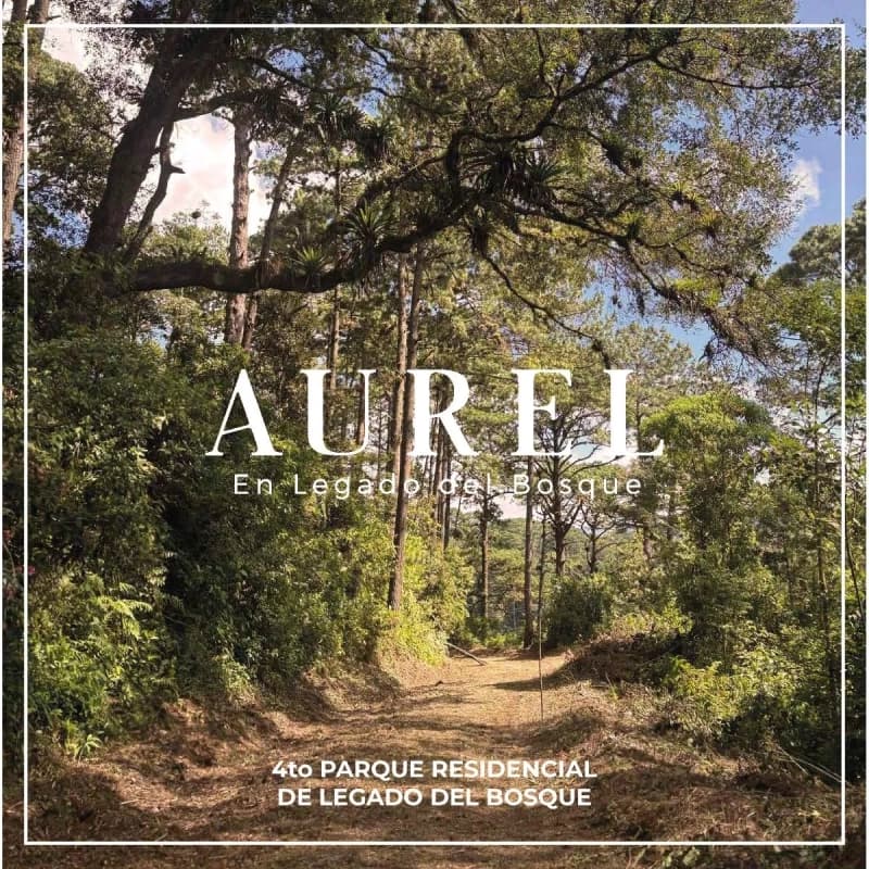 TERRENO EN VENTA EN LEGADO DEL BOSQUE 005TVLD