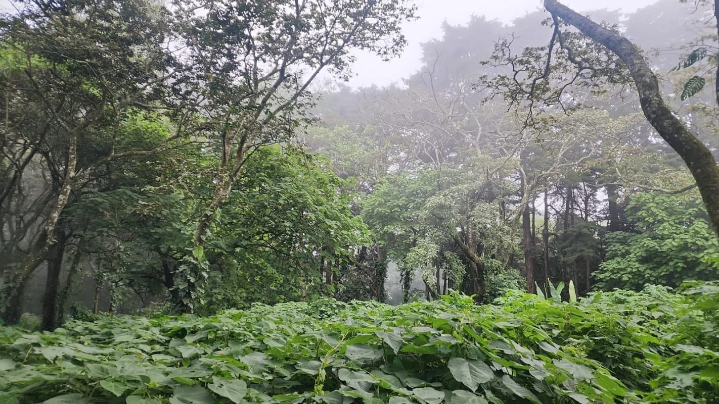 Terreno en venta en Premier Campestre km 23 carretera a El Salvador