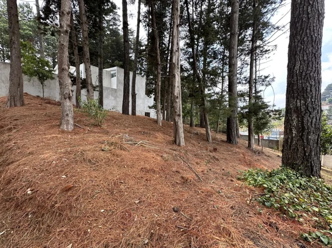 VENTA TERRENO CERCA COLEGIO INTELLEGO SANTIAGO SAC.