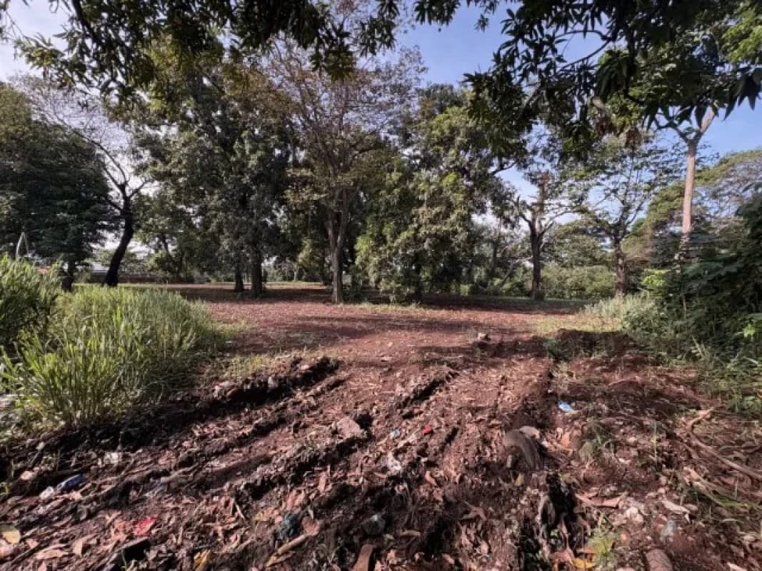 Terreno carretera a El Salto, Escuintla
