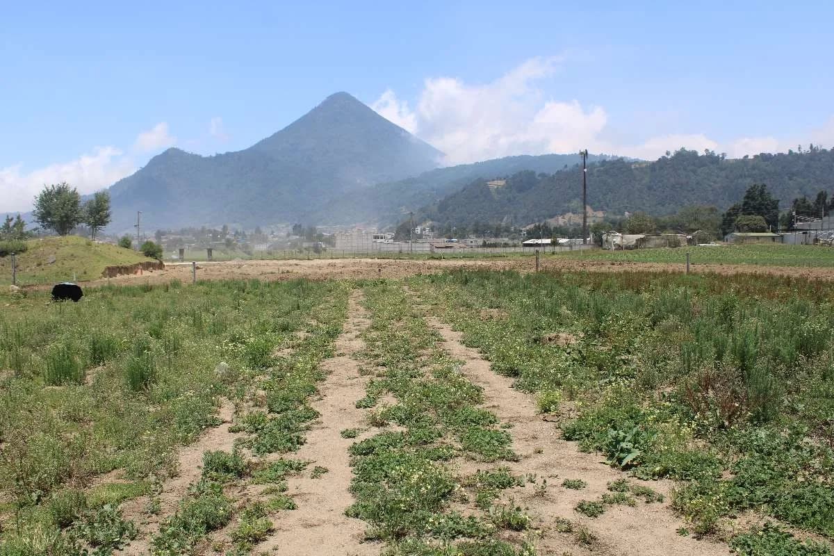 15 Cuerdas en Venta en Tierra Colorada Baja Quetzaltenango