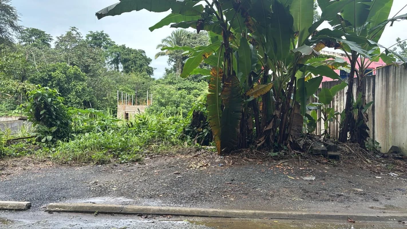 Terreno en venta Puerto Barrios Izabal