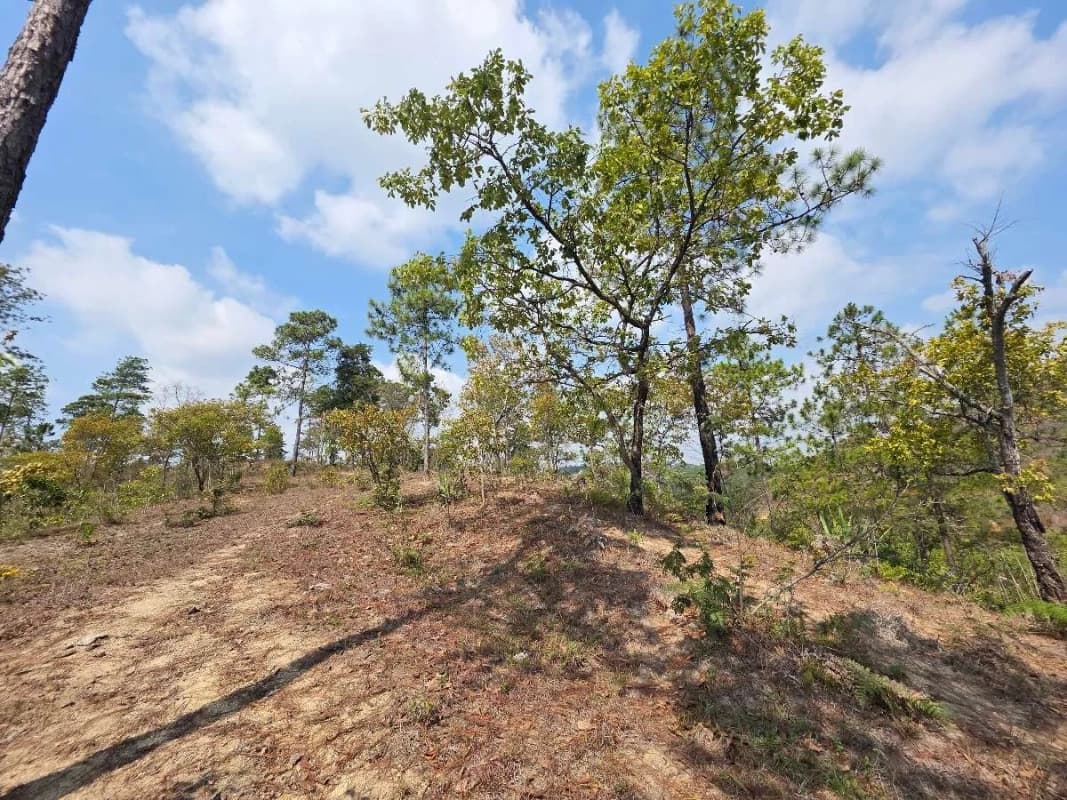 FINCA DE 300 MANZANAS EN VENTA EN SAN RAYMUNDO