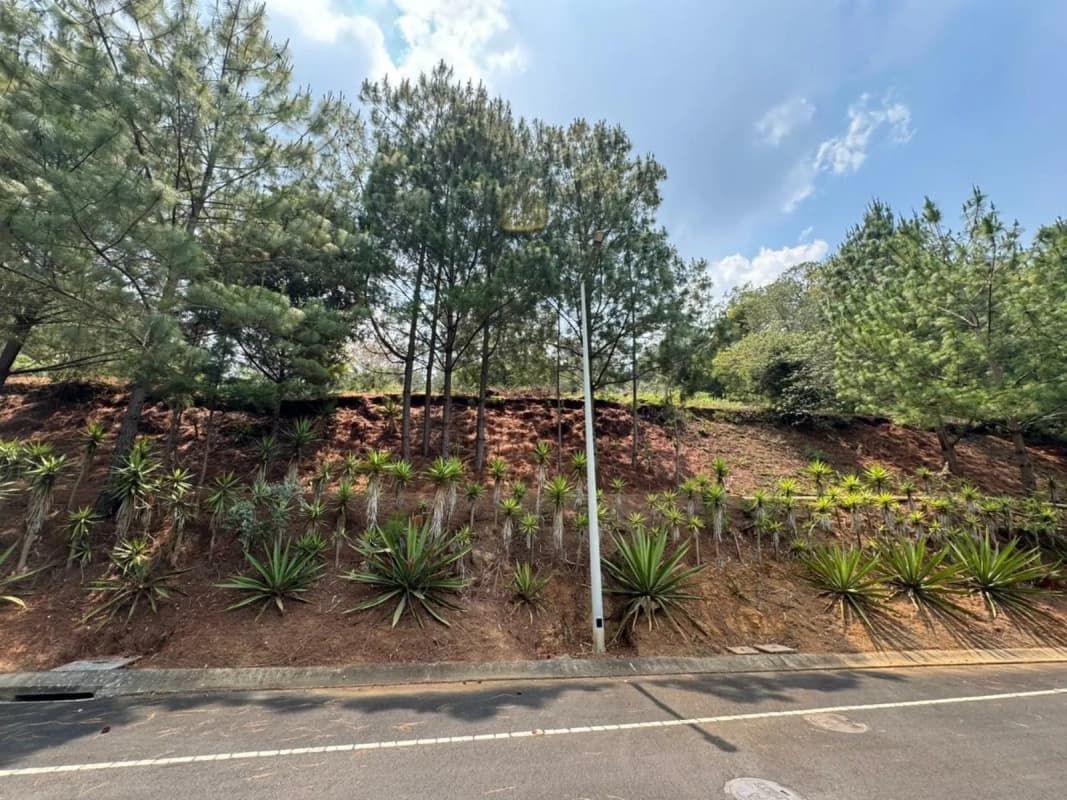 Terreno en el Pulté Ecuestre, zona 16