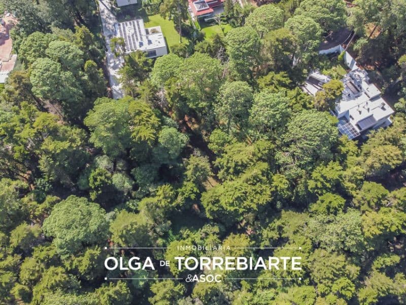 Terreno en Condominio Lomas del Bosque