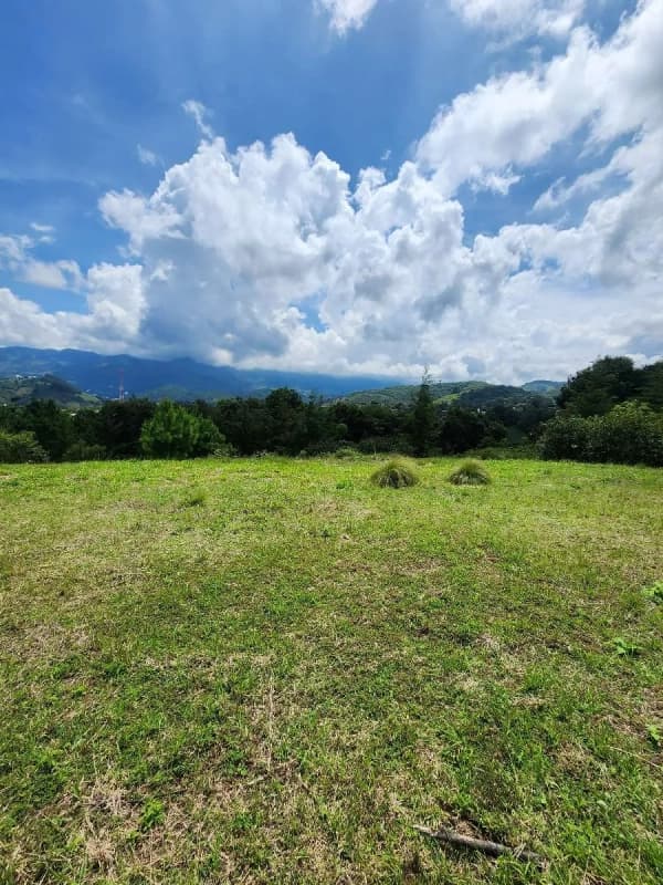 Terreno en Venta | El Pulté Golf – Sector 3, Lote T6, Zona 16