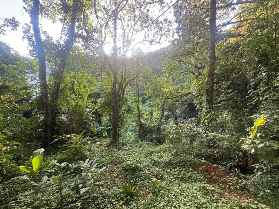 TERRENOS EN VENTA EN STA ROSALIA