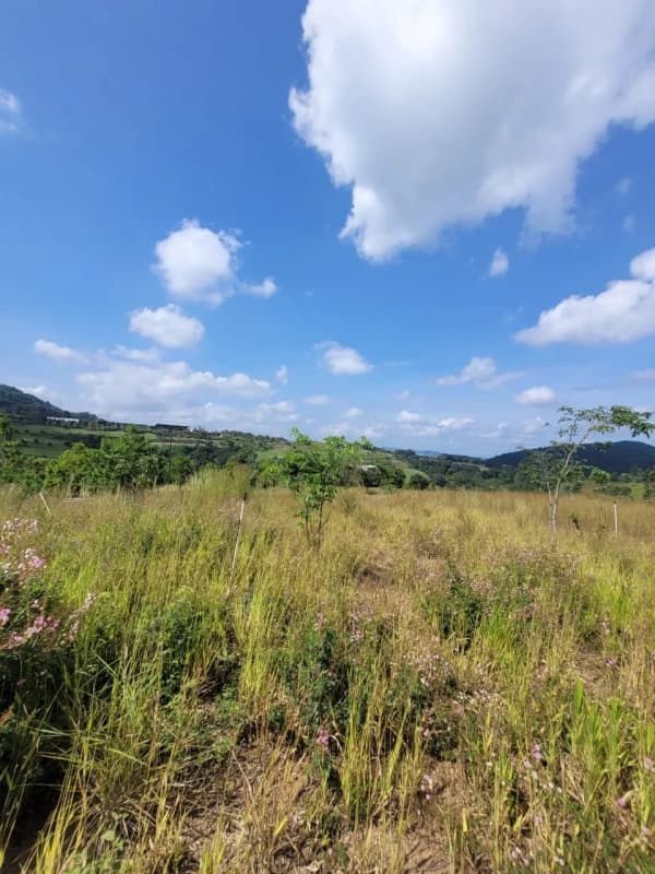 Vendo Terreno en EL PULTÉ zona 16