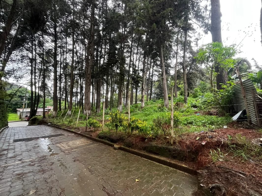 TERRENO EN VENTA SAN LUCAS CANTON LA CRUZ EN ZONA 6