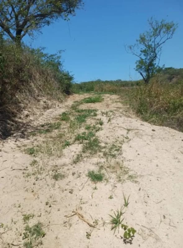 Terreno en San José del Golfo