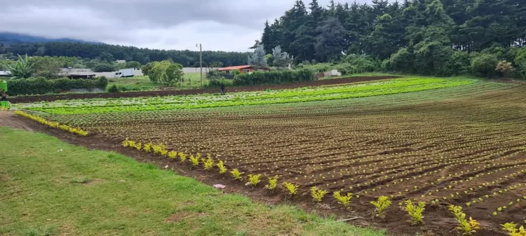 Se vende precioso terreno en Santo Tomás Milpas altas, cerca de Parque Ecológico Florencia