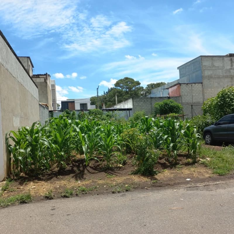 TERRENO SAN CRISTOBAL 1 SECTOR C1