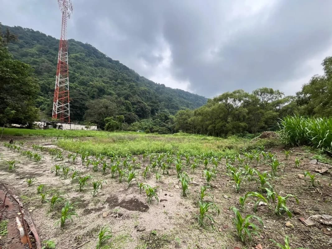 Terreno Los Sauces Km.37 Palín Escuintla