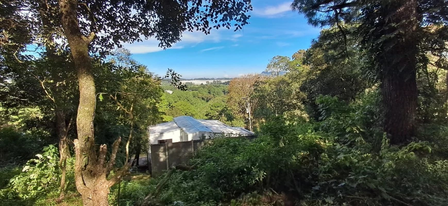 Terreno en VENTA en Terravista.
