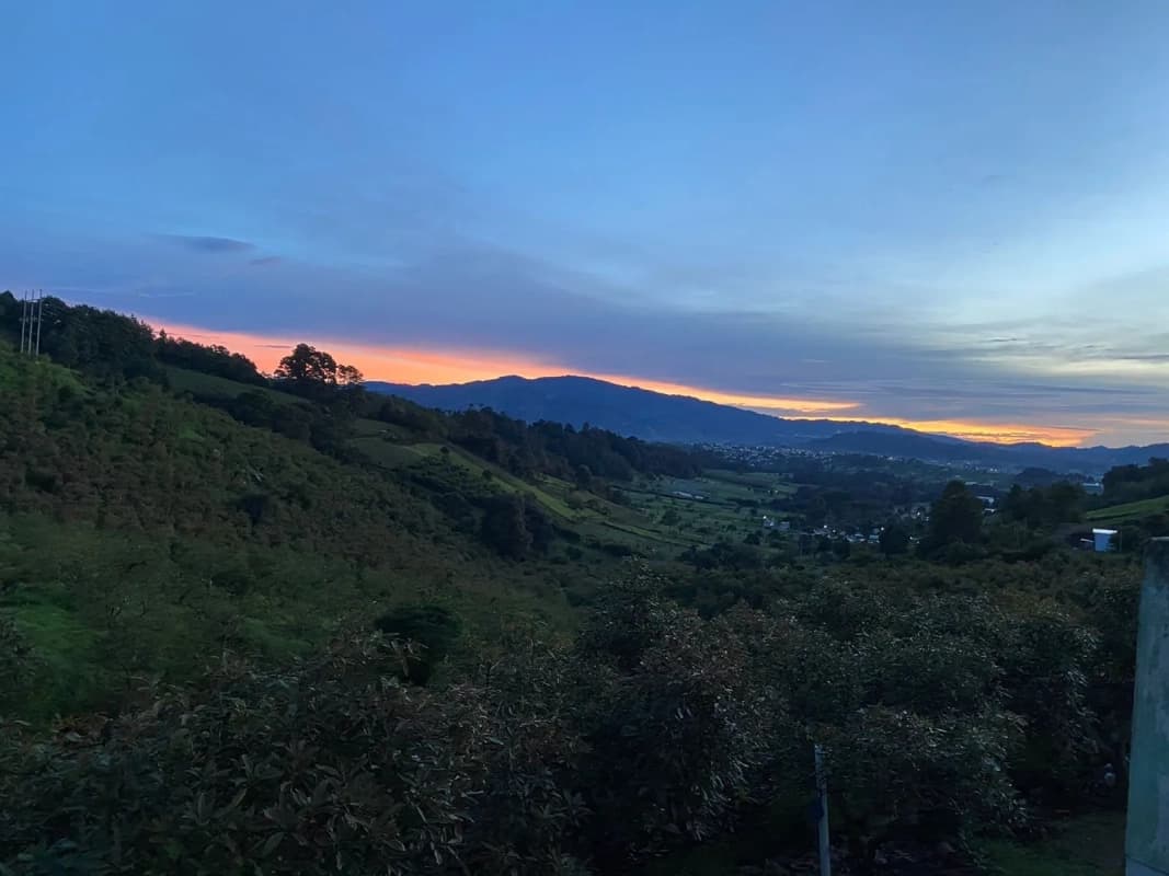 Granja de aguacate, en Chimaltenango