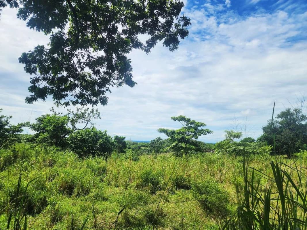 Terreno Venta | KM 61.5 | Escuintla