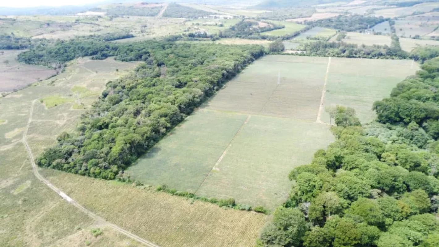 Finca de 20 Manzanas Planas en Venta en CAES Jocotillo
